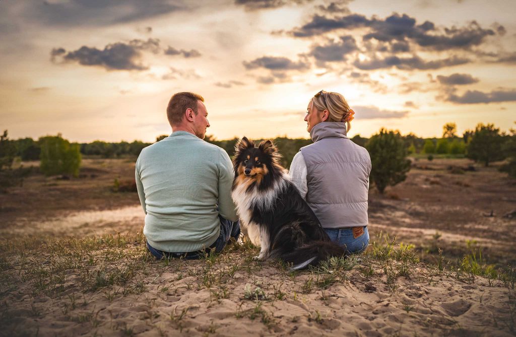 Das Bild zeigt ein junges Paar, dass sich im Sonnenuntergang anschaut. Vor ihnen sitzt ein Sheltie und schaut Richtung Kamera