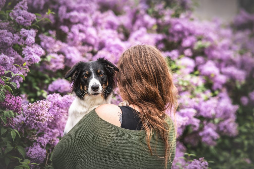 Das Bild zeigt einen Hund, der auf dem Arm einer jungen Frau ist und über ihre Schulter schaut. Sie stehen vor einem Fliederstrauch