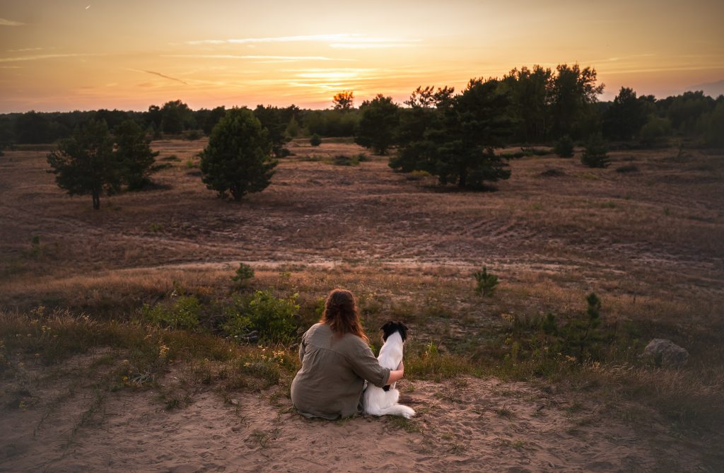 Das Bild zeigt eine junge Frau und ihre Hündin sitzt neben ihr. Zusammen schauen sie sich den Sonnenuntergang an